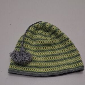 Turtle Fur Men's Striped Green and Gray Beanie